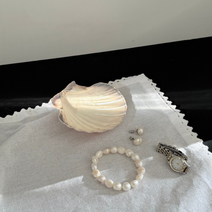 Scallop Shell Jewerly Dish