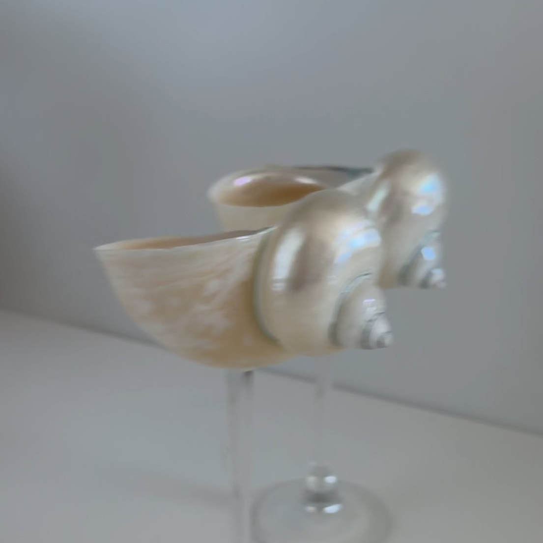 Seashell Wine Glasses - Coastal Barware