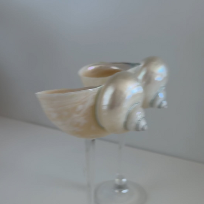 Seashell Wine Glasses - Coastal Barware
