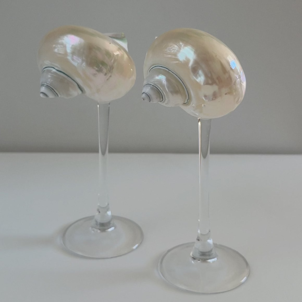 Seashell Glasses