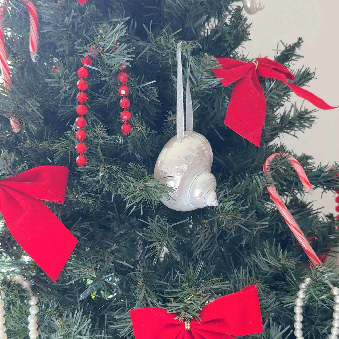 Handmade Seashell Christmas Ornament Set