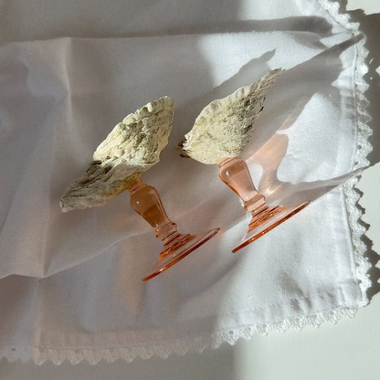 Oyster Shell Display Dish