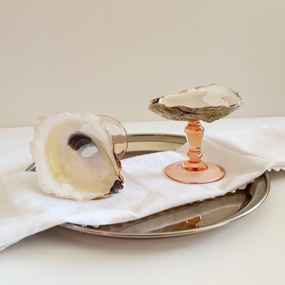 Oyster Shell Display Dish