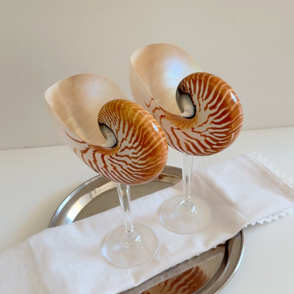 Nautilus Shell Crystal Stem Glasses - Set of 2