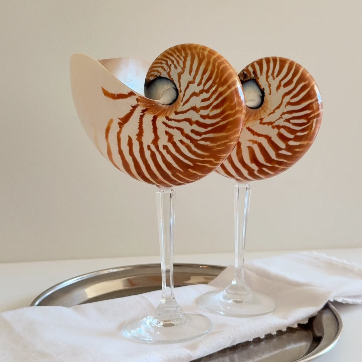 Nautilus Shell Crystal Stem Glasses - Set of 2