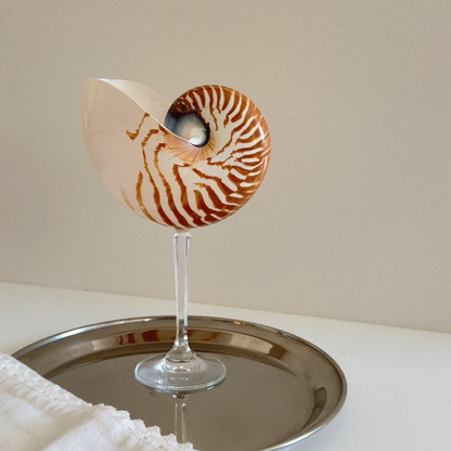 Nautilus Shell Crystal Stem Glasses - Set of 2