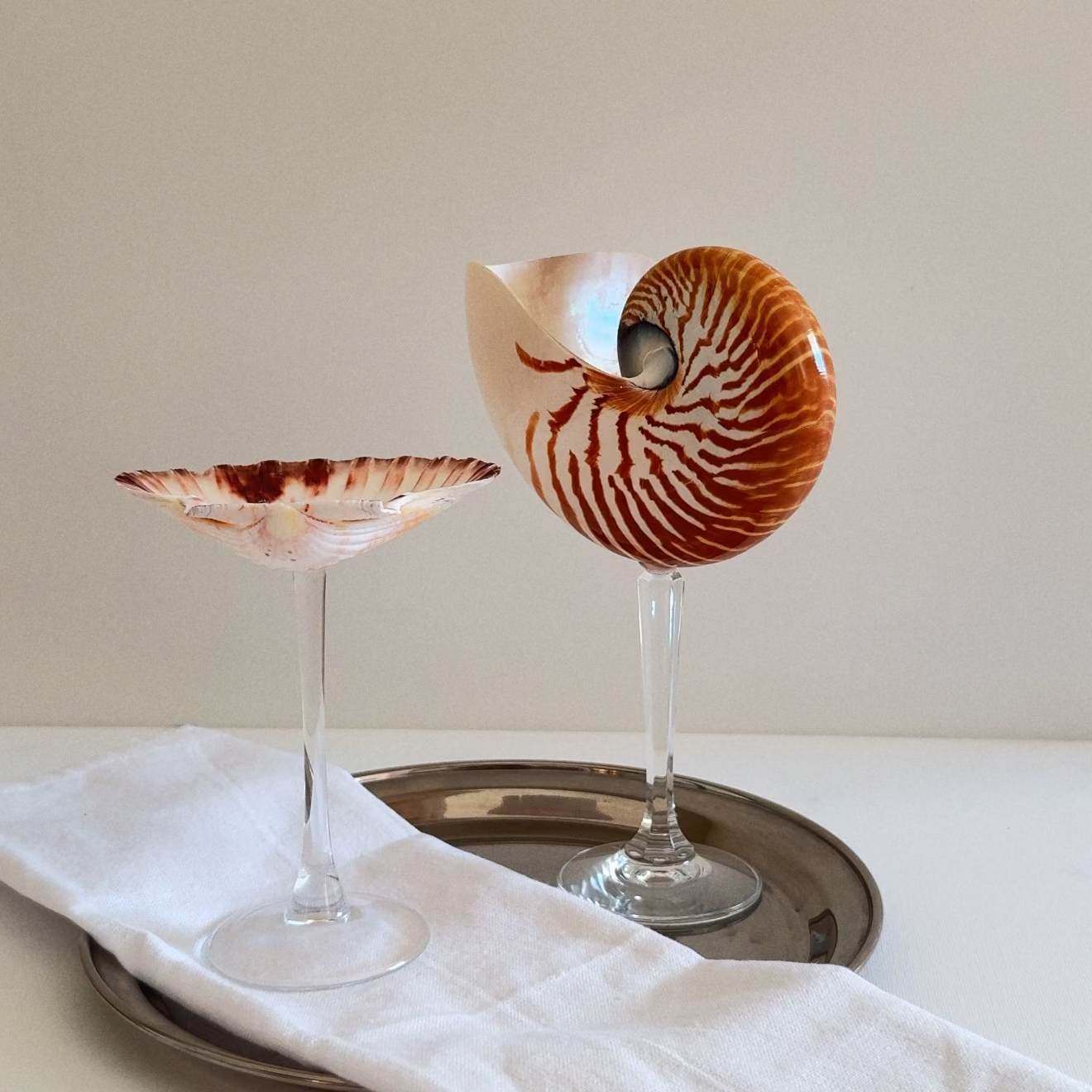Nautilus Shell Crystal Stem Glasses - Set of 2