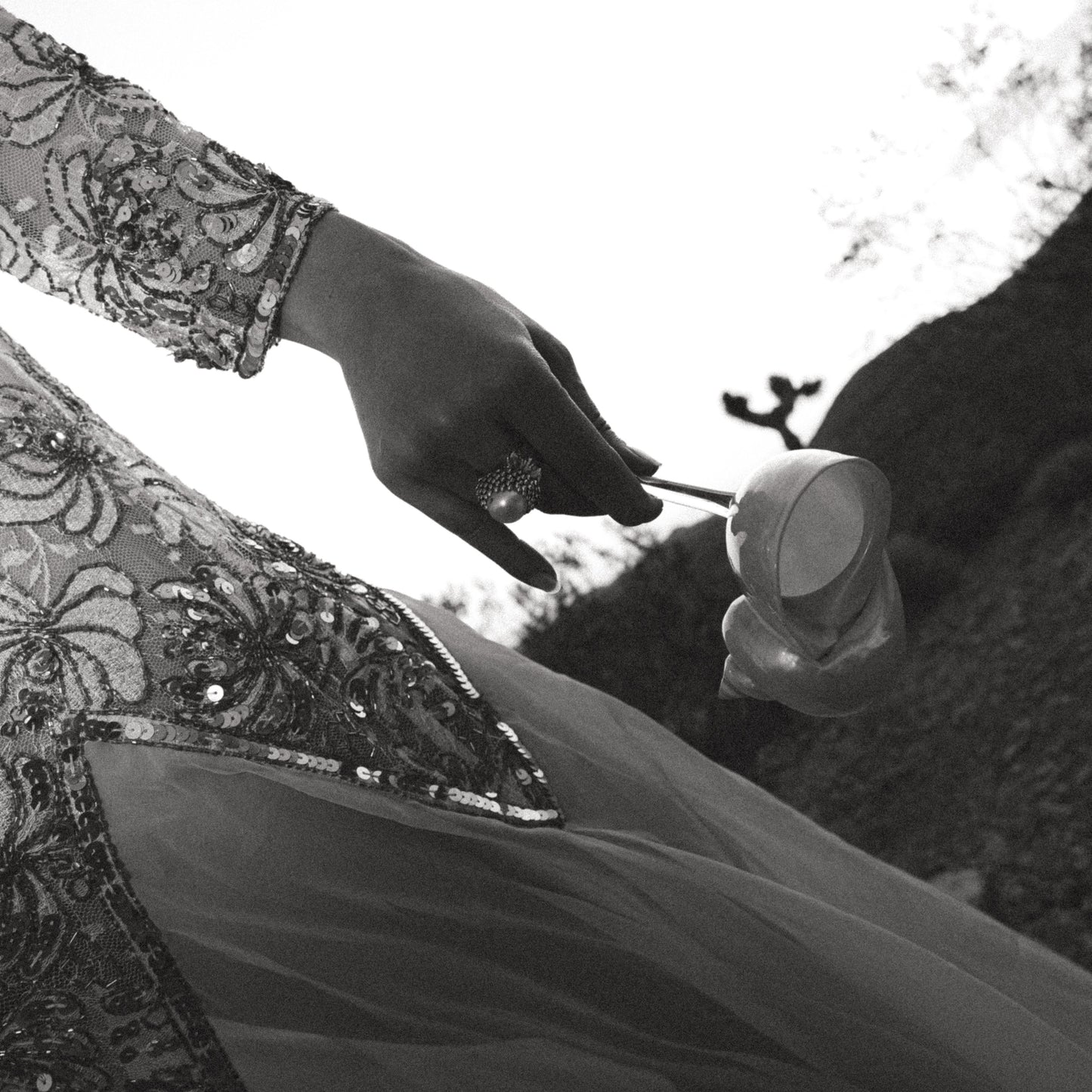 Handmade Seashell Cocktail Glasses