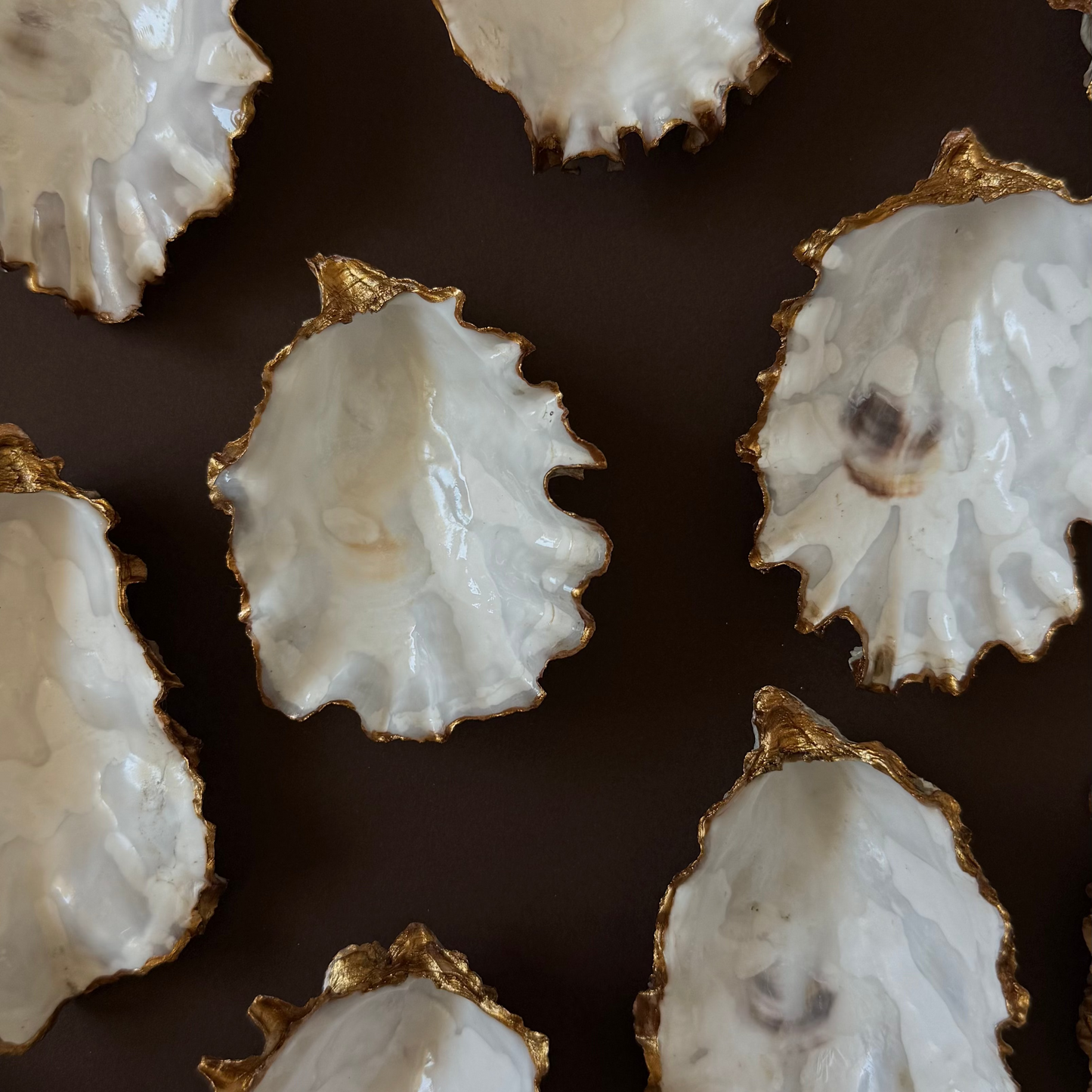 Oyster Shell Jewelry Dish