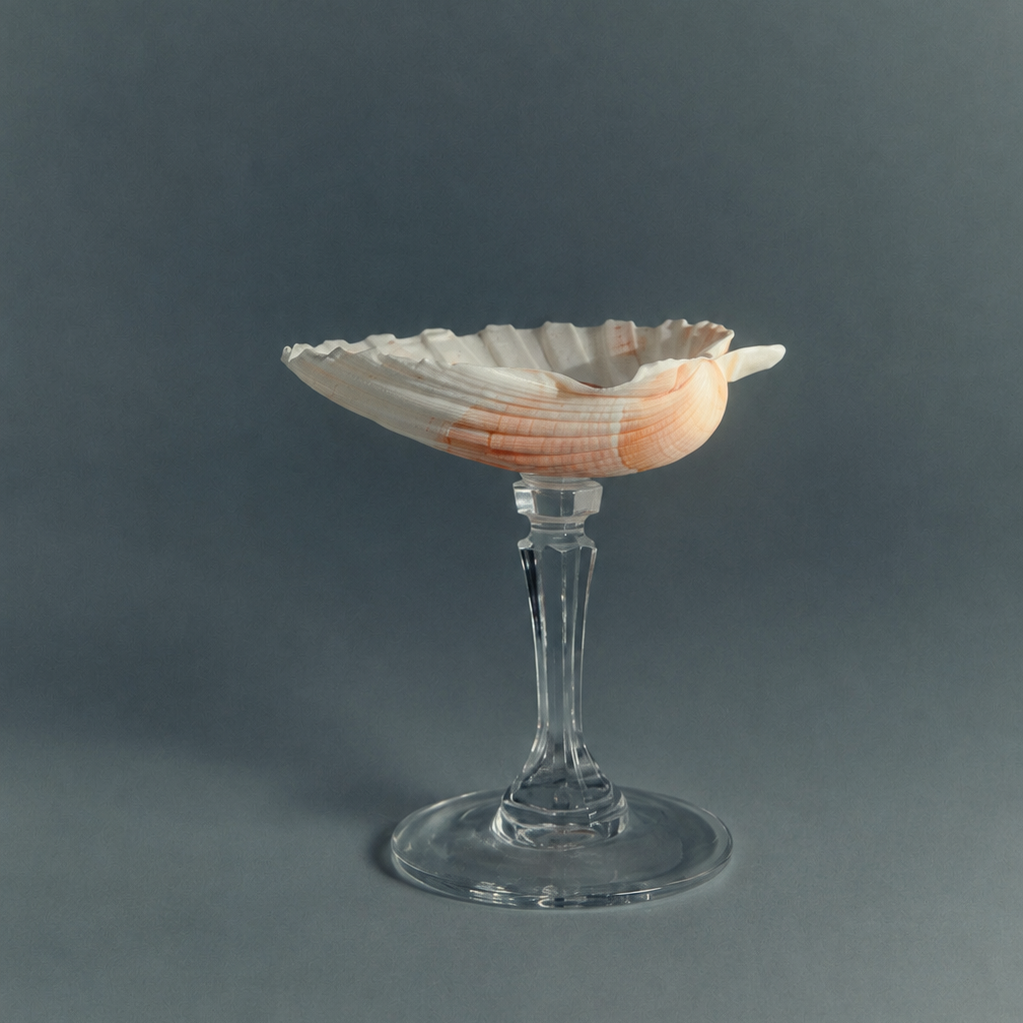 Crystal stem scallop shell dish, one of a kind ring holder and coastal home decor