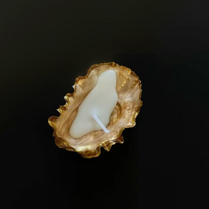 Natural Oyster Shell Candles