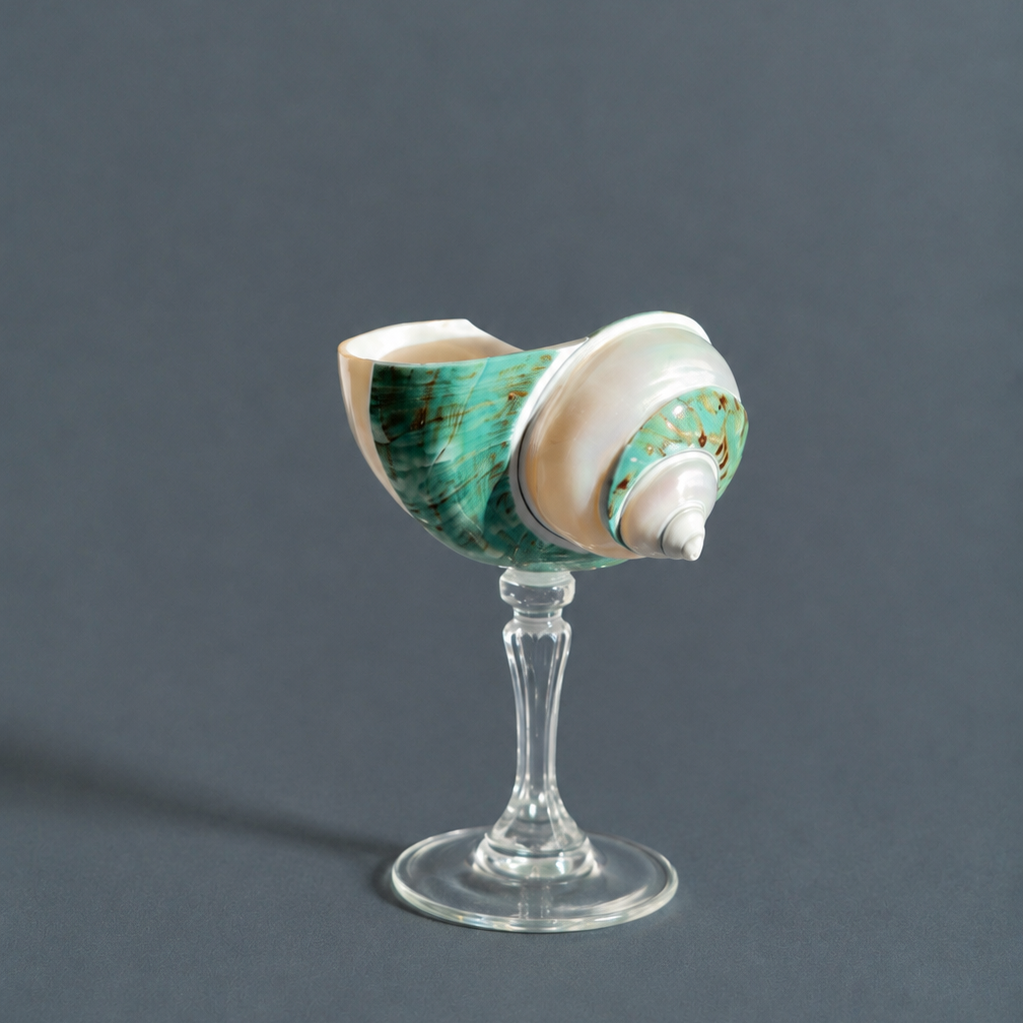 Green turban shell coupe on crystal stem, full view