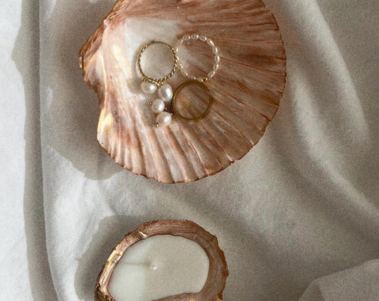 Handmade Sea Shell Ring Dish
