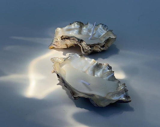 Handmade Oyster Shell Candle