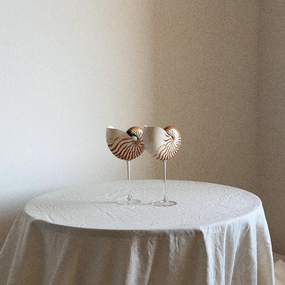 Natural Nautilus Seashell Glass