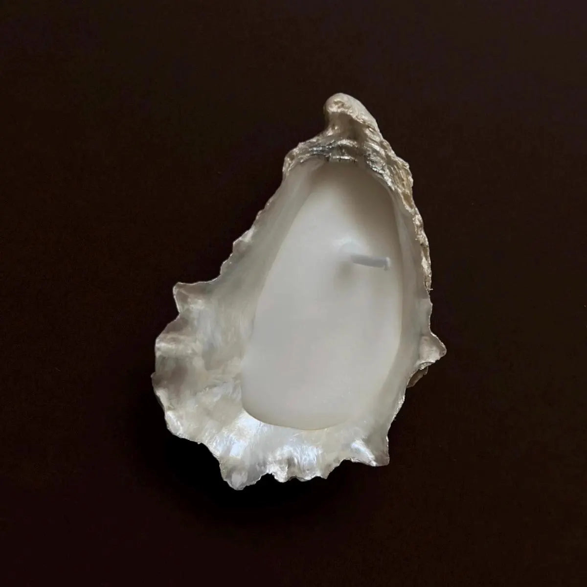 Oyster Shell Candles