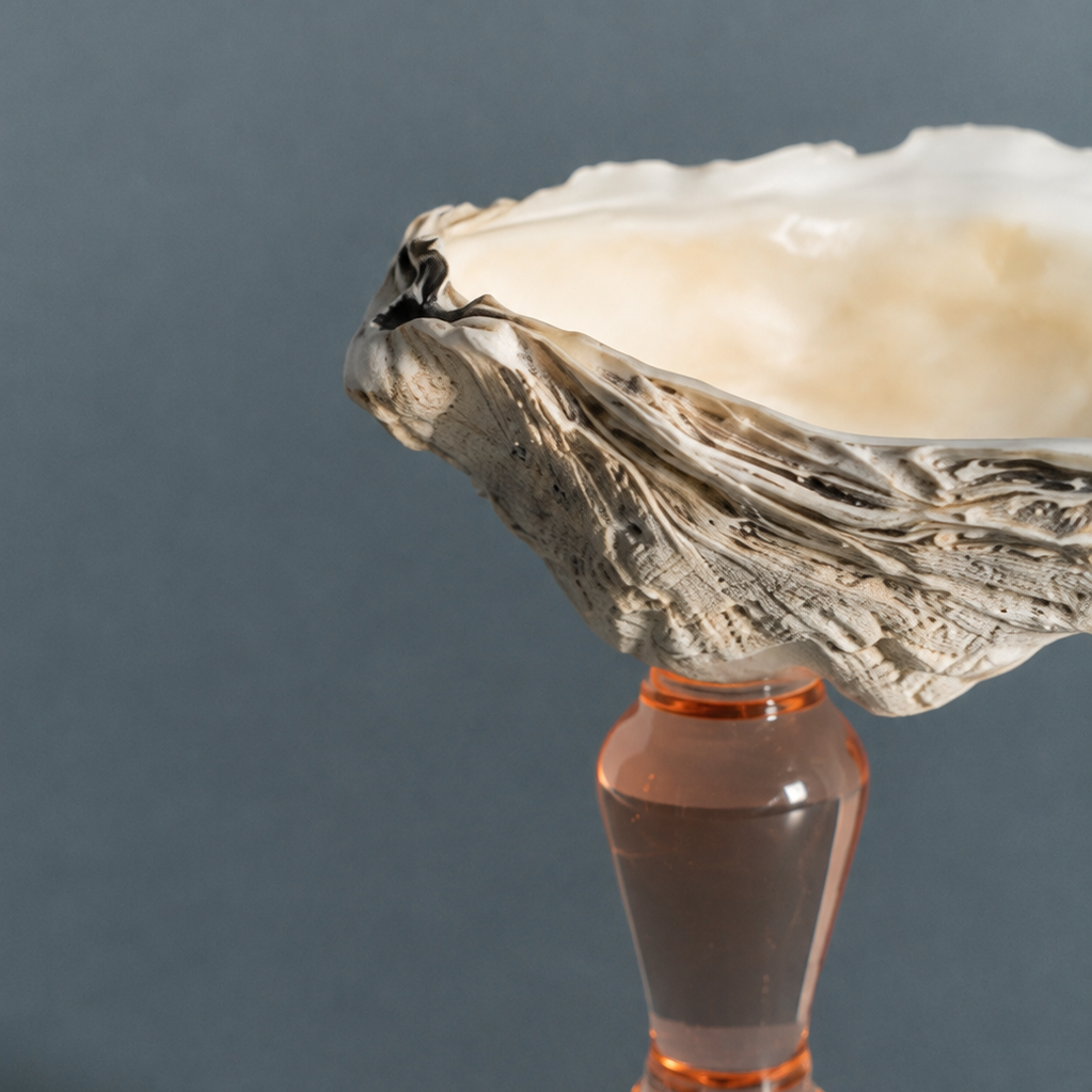 Close-up of natural oyster shell dish on peach tinted glass stem