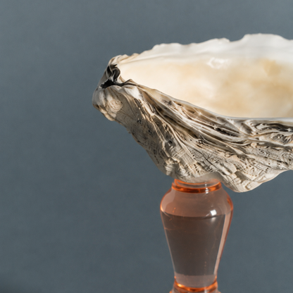 Close-up of natural oyster shell dish on peach tinted glass stem