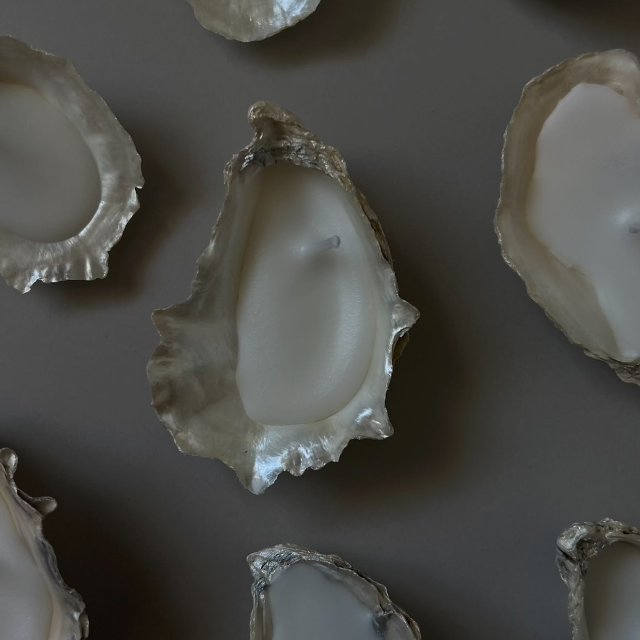 Natural Oyster Shell Candles