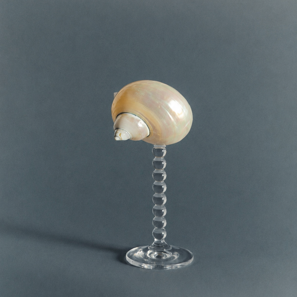 Seashell bubble stem coupe glass on decorative glass stem, full view