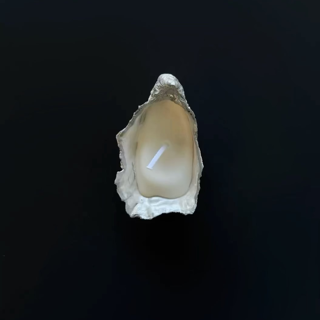 Natural Oyster Shell Candles
