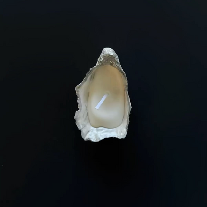 Natural Oyster Shell Candles
